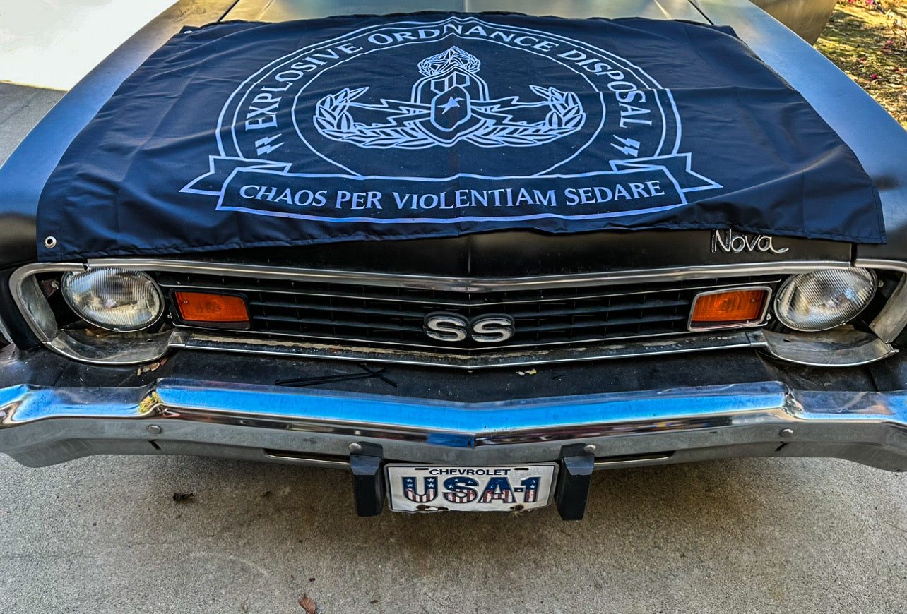 "CHAOS PER VIOLENTIAM SEDARE" Wall Flag