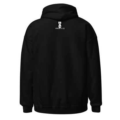 Defend Ireland Hoodie